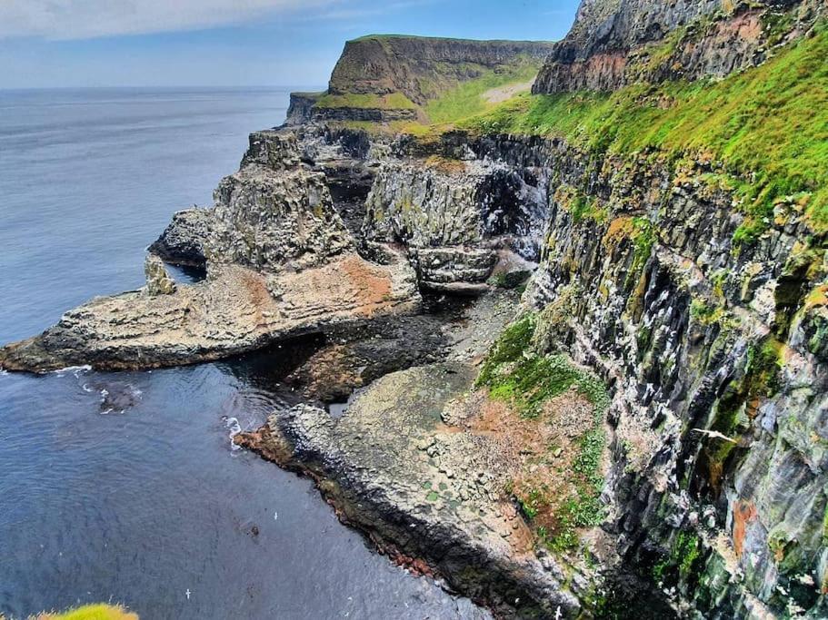 Cushendall Stables المظهر الخارجي الصورة